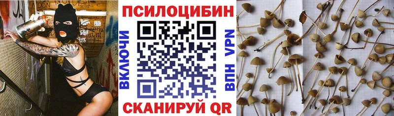 Псилоцибиновые грибы Cubensis Руза